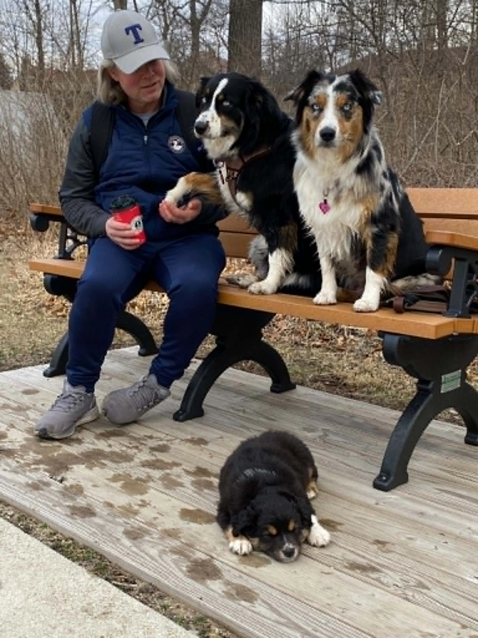 A family member sitting on a bench with the Cottage Farm dogs