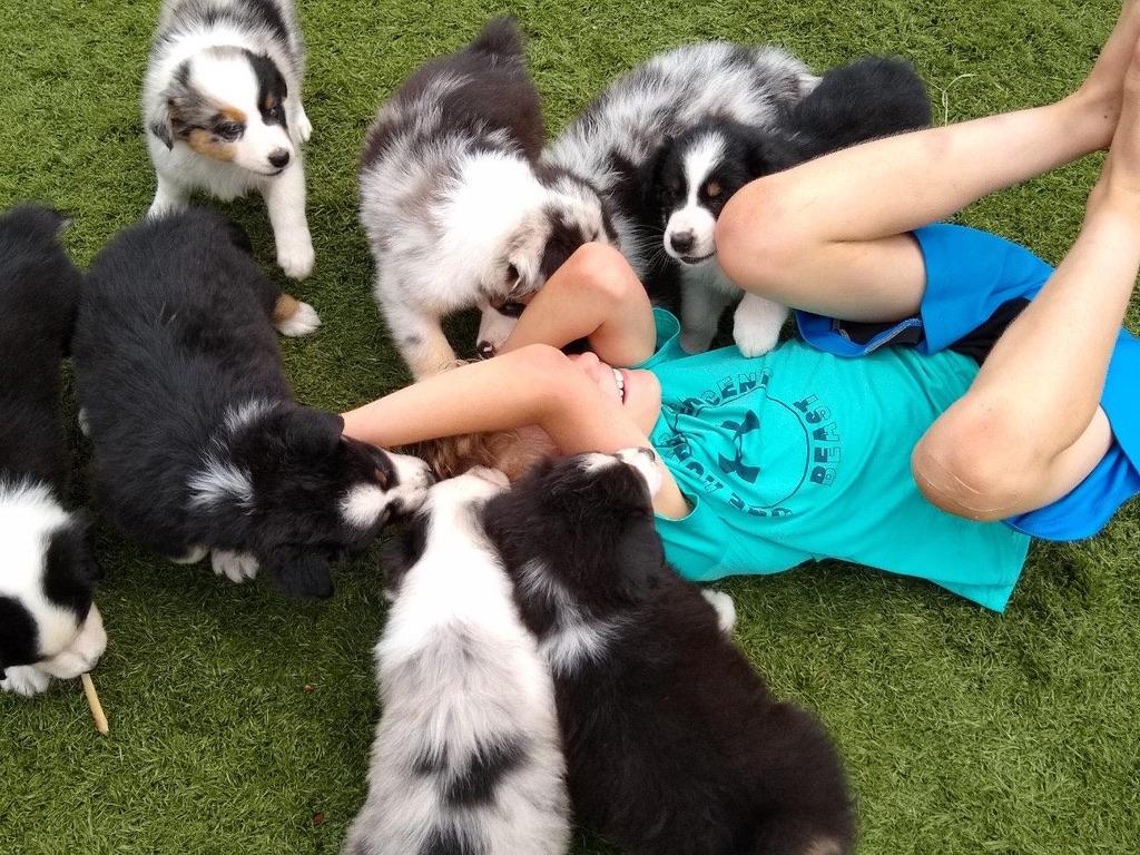 Puppy party